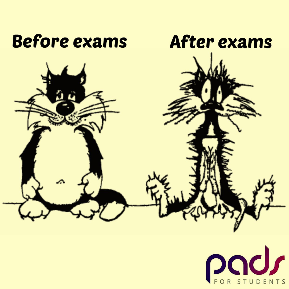 funny exam quotes for students