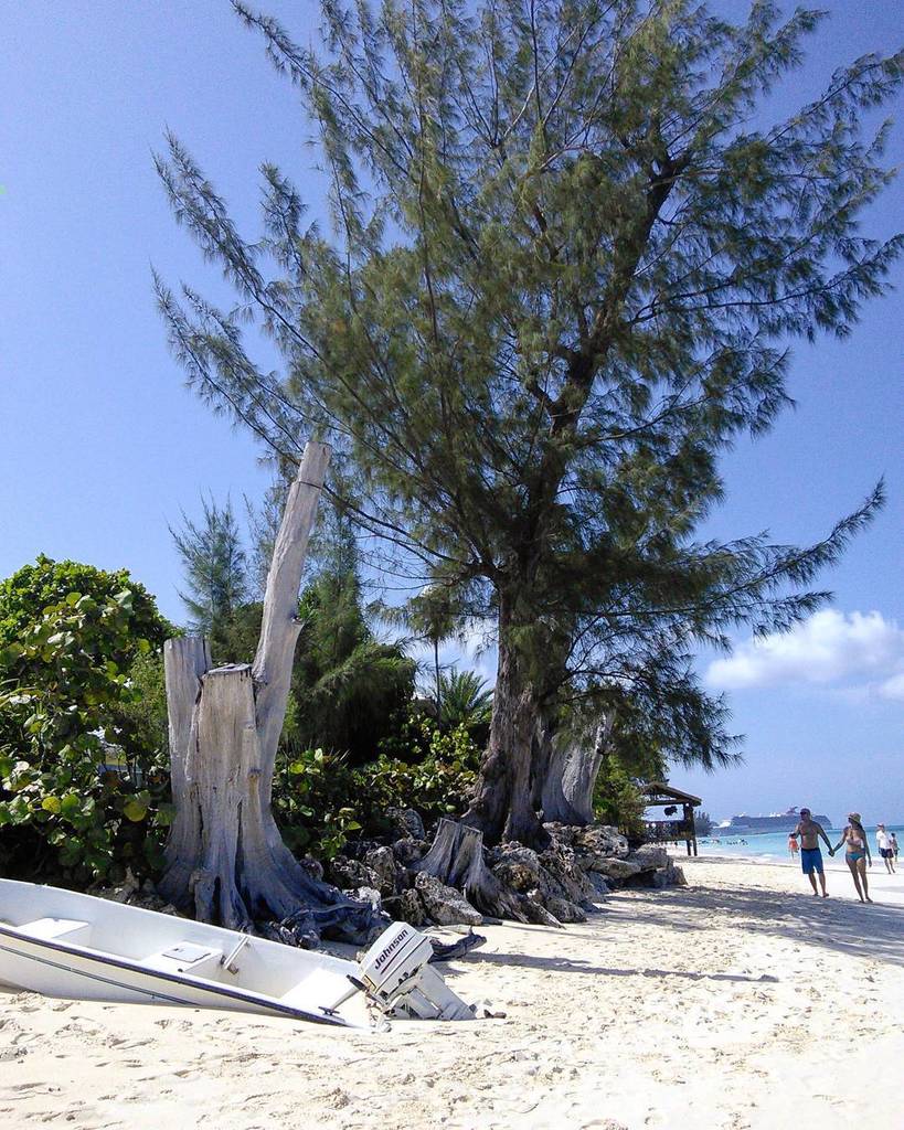 A beached motor boat, a tree stump, and white sand of Seven Mile Beach

#destinationreveal… instagram.com/p/BGmY9VKvuwY/