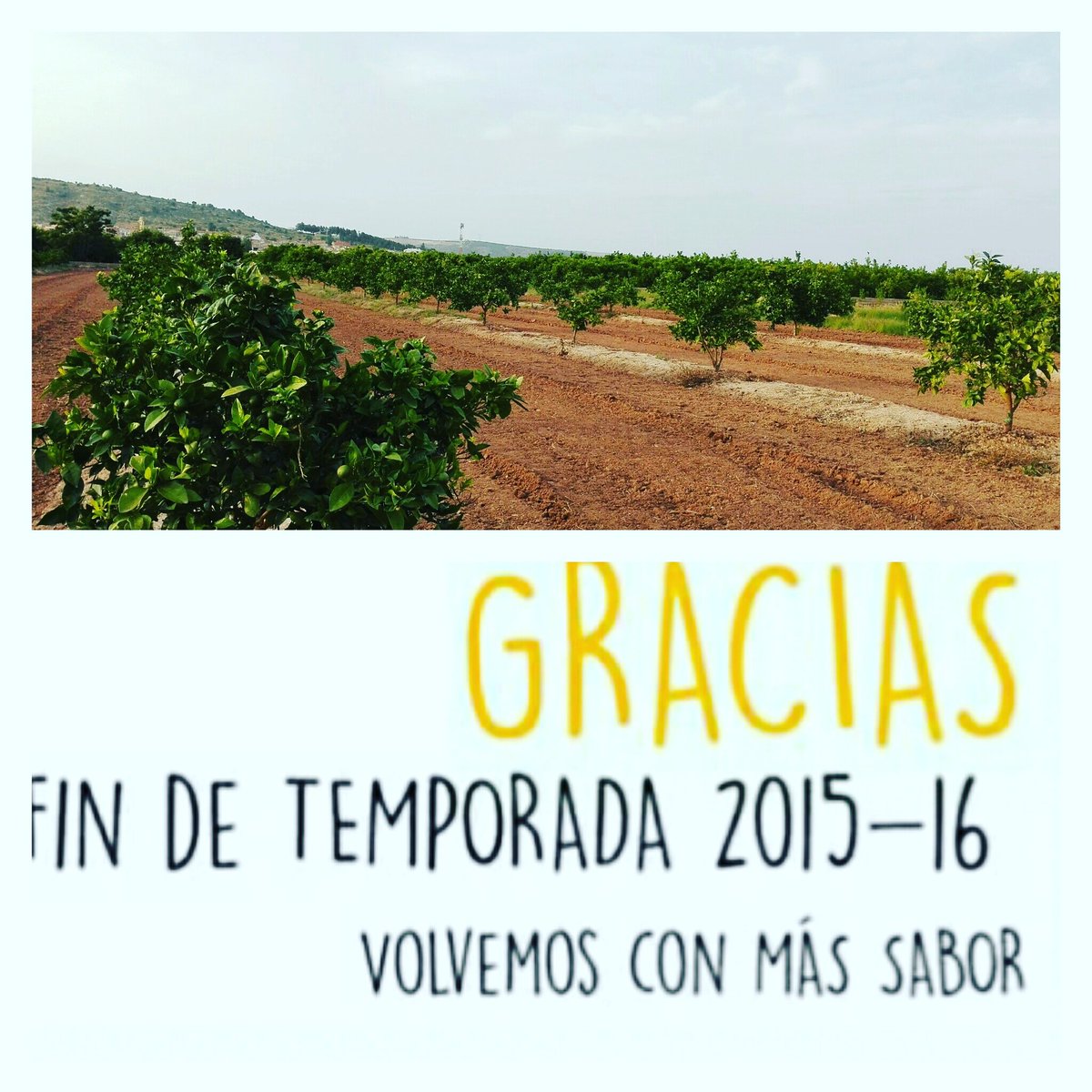 Redoneta's tweet photo. Muchas gracias a todos nuestros clientes! https://t.co/L0bhb26zKM