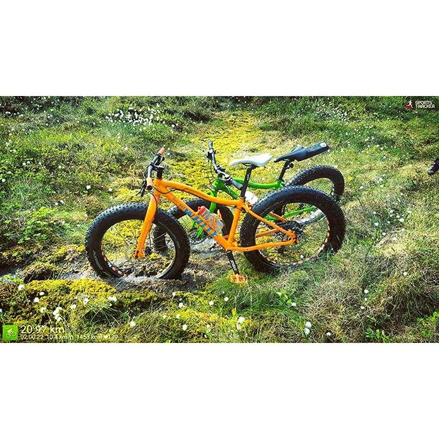 TuttoMTB's tweet photo. pyjari / Uusia polkuja #fatbike #mtb #sanginjoki #mtboulu #whitefatbike #3fatpro #3fatlite #swamp #cycling https://t.co/lvEdQamY8E