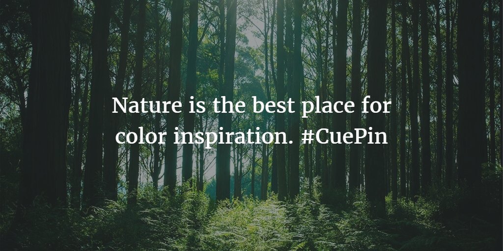 cuepinapp's tweet photo. Nature is the best place for color inspiration. #CuePin #webdesign #ui #design #creativity #ux #css #colors https://t.co/kr6iw0UWtz