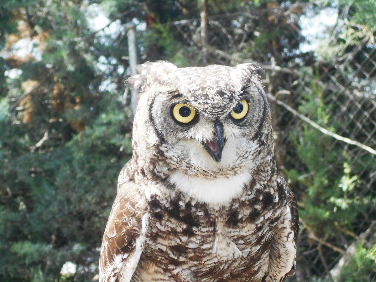 ¡FELIZ LUNES A TODOS!