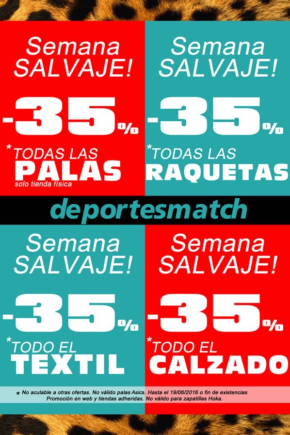 M1 Padel tweet media