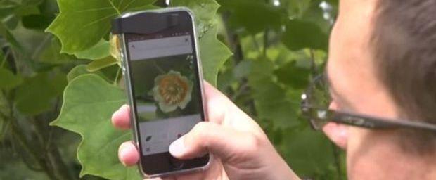 PlantNet, le Shazam des plantes, pour botanistes en herbe ou spécialistes ebx.sh/1sBNeun