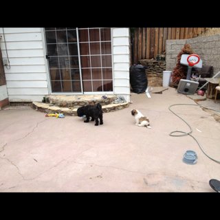 Ghost_Capture's tweet image. Here's one of the top rated #Ghost Captures