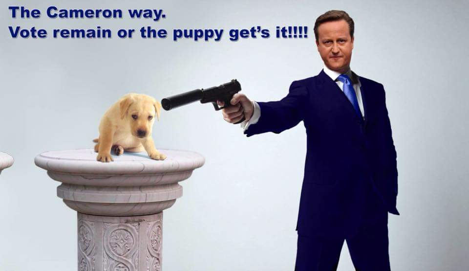 RealGMedia's tweet image. The British do not respond well to threats, we are a strong nation &amp;amp; will be even stronger post Brexit!