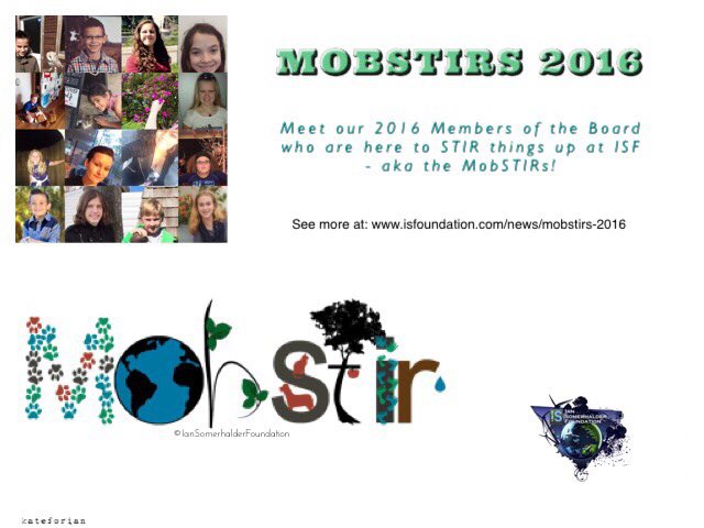 KateForIan tweet media