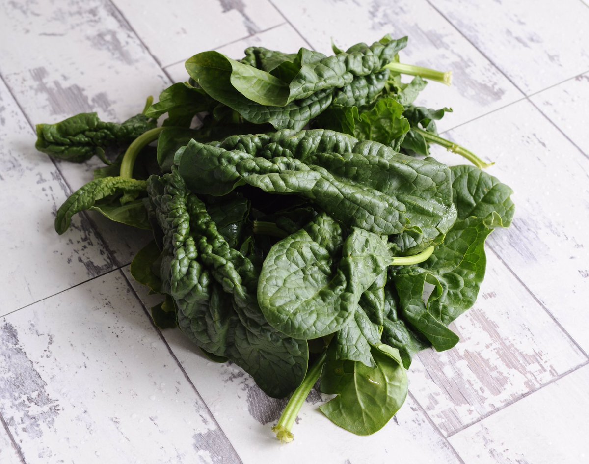 BodyKitchenLDN's tweet image. Broad leaf spinach fresh from New Covent Garden. Firm, deep green, in season. Not the boring baby supermarket stuff.