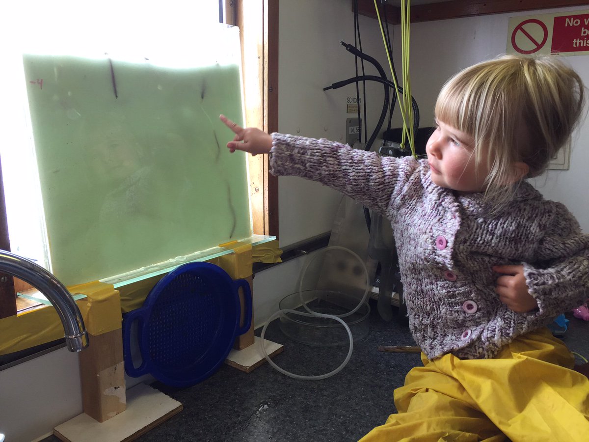 Op Navicula ingraafgedrag van schelpdieren en wormen bekijken #wadonderzoek <a href="/OerolFestival/">OerolFestival</a> <a href="/NIOZnieuws/">@NIOZnieuws</a>