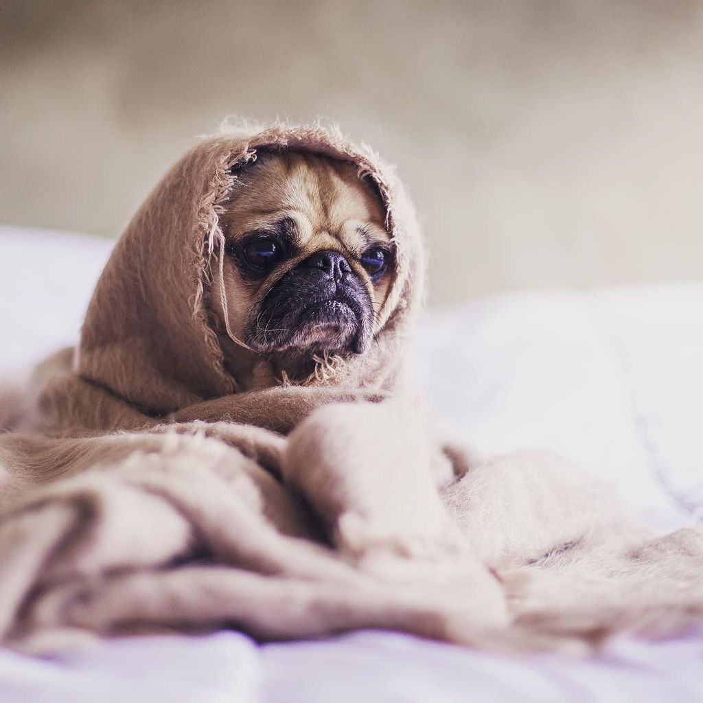 imagram's tweet photo. Pra quem ama acordar no frio #soquenao ❄️😁❄️
#medefine #muitoeu #curitibanos #imagram https://t.co/IxS5B3hcAg
