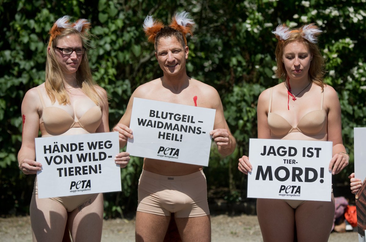 TH24DeineNews's tweet image. @PETADeutschland fordert das Ende der #Fuchsjagd in #Thüringen @NABU_Thueringen @gruenethl bit.ly/Fuchsjagd