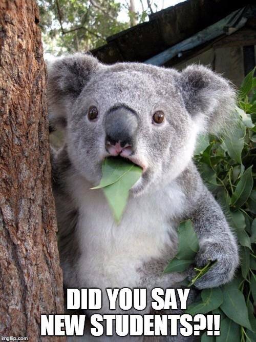 CC_ResLife's tweet image. We are so excited to meet the incoming students during Summer Orientation this week! #FutureKoalas #CCofSC