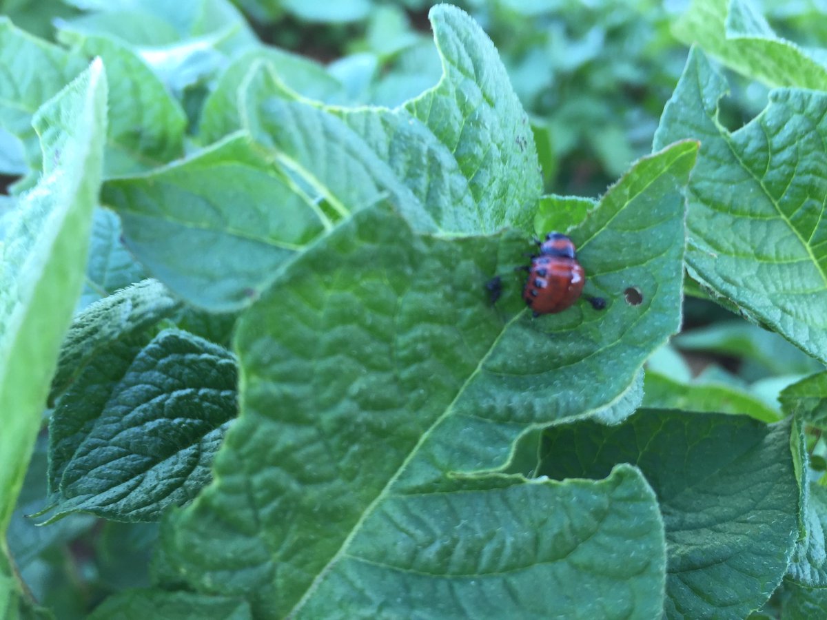 Do you recognize it ?