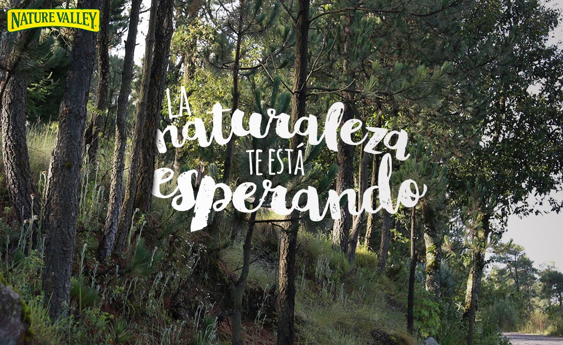 NatureValleyMx's tweet photo. Lo importante es el camino #Escápate. https://t.co/Vtoyq8Dw89