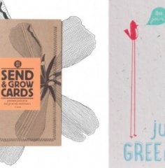 LiveGreenmagazi's tweet image. Met deze kaarten krijgt de ontvanger na een aantal weken nog een verrassing @SmilingMangoNL
livegreenmagazine.nl/plant-some-hap…