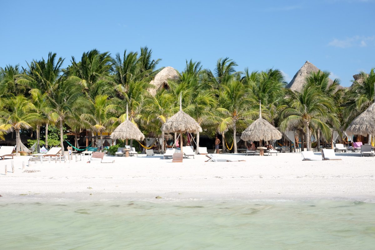 Wild Terrains tweet media