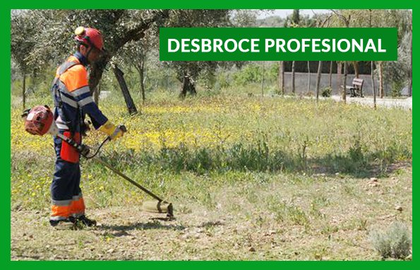 greenfactor_'s tweet image. La Ley LOUA obliga a los propietarios de terrenos mantenerlos en condiciones de seguridad.
¡No olvides su desbroce!