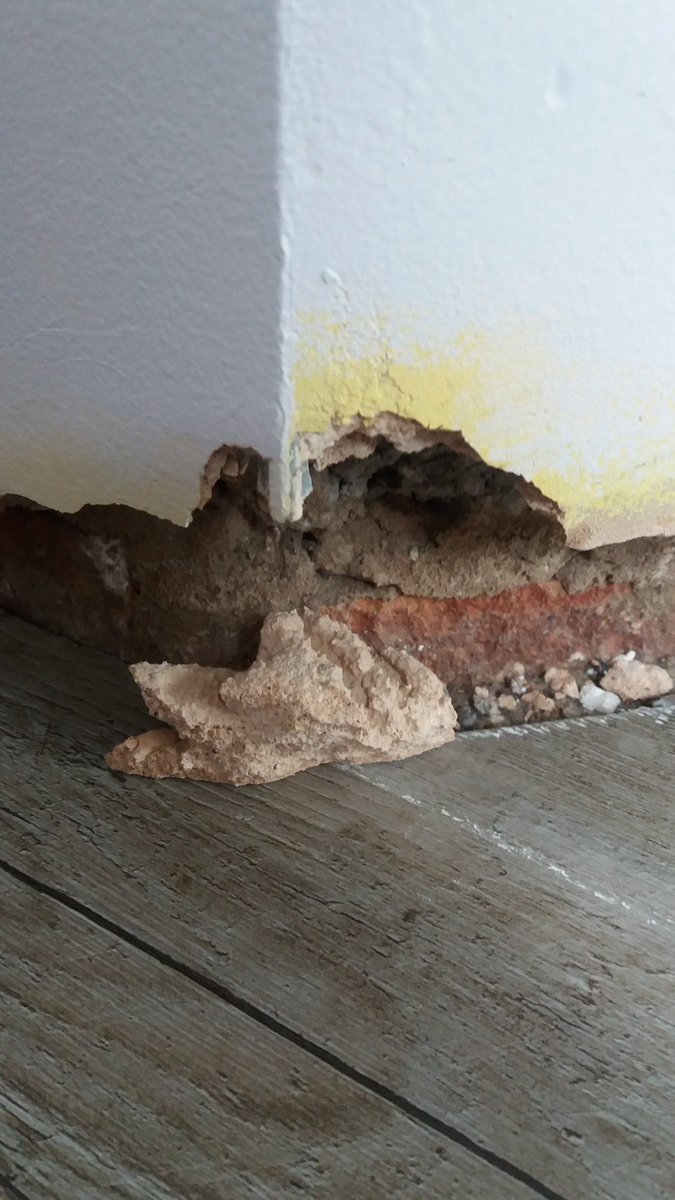 jadewoodss's tweet photo. Only gone and demolished the kitchen wall with my "aggressive" hoovering... https://t.co/9ws6I3juwV