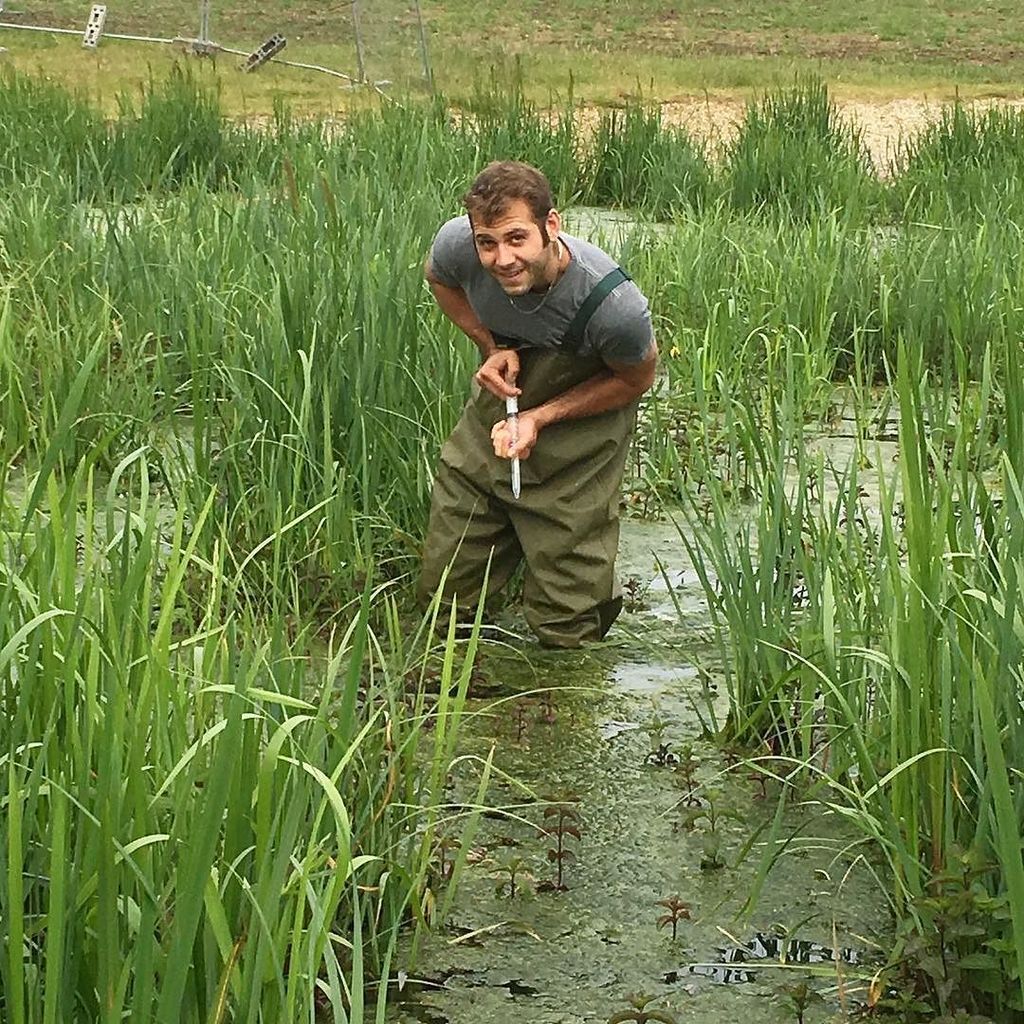 FirsFarm's tweet image. St Mary's University students making our wetlands a case study. #stmarysuniversity #cleanw… ift.tt/1VUYVaX