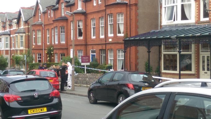 View image on Twitter View image on Twitter