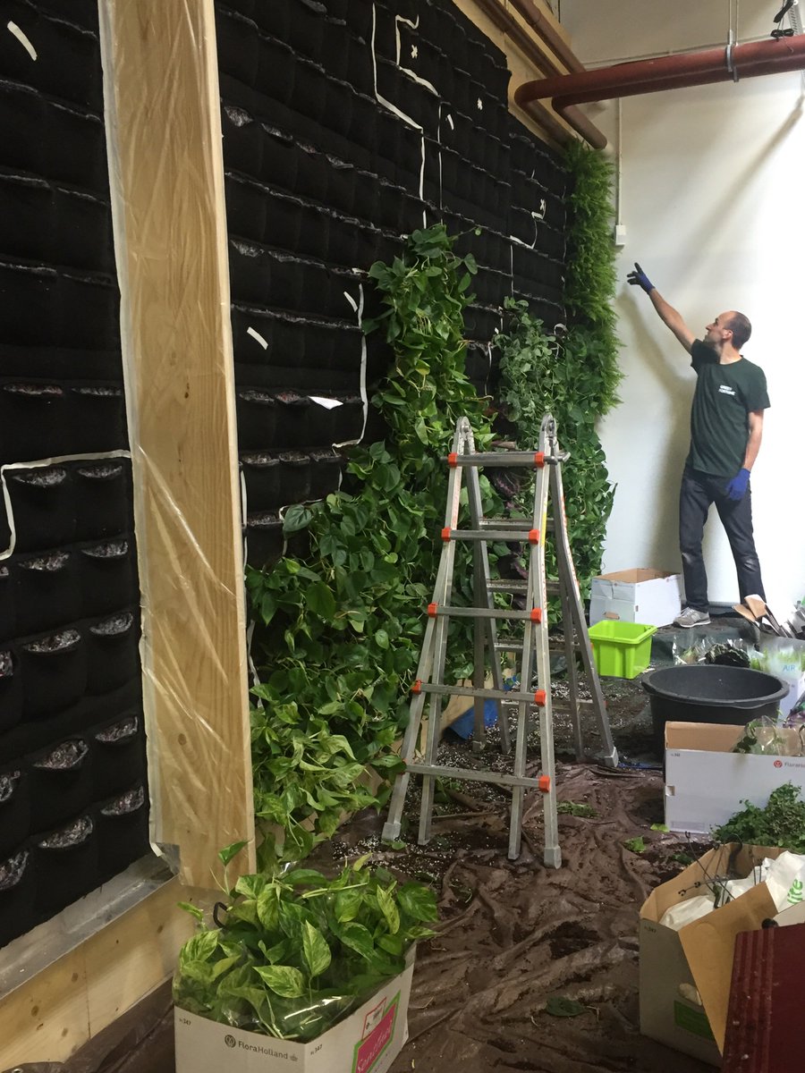 Nice! Our studio is really getting green. Welcome <a href="/GreenFortuneNL/">Green Fortune NL</a> <a href="/111Amsterdam/">Workspace 1-1-1</a>