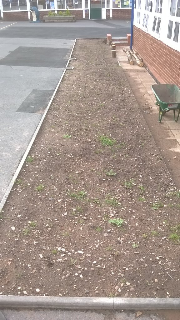 EnsellJonathan's tweet photo. @TwickPrimary 8am the before photo. https://t.co/tcKDnHJ1bs