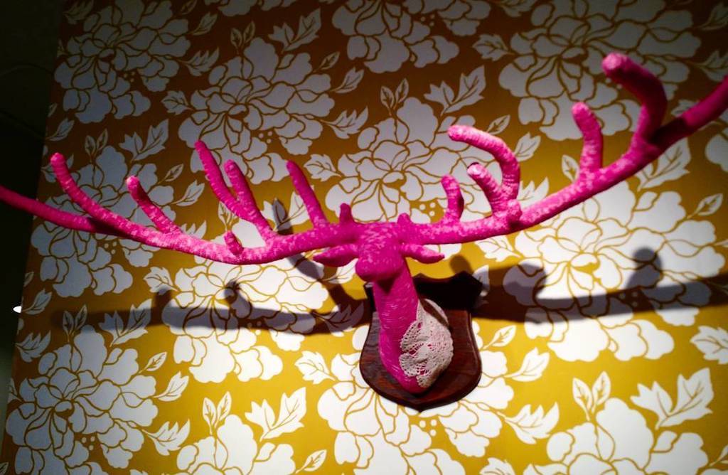 TheFallenAntler's tweet photo. Crocheted #antlers for sale in #Denver. Not as tasty as beer, but still a pretty cool #han… https://t.co/FyzLbWHpW7 https://t.co/VSkthIgo3d