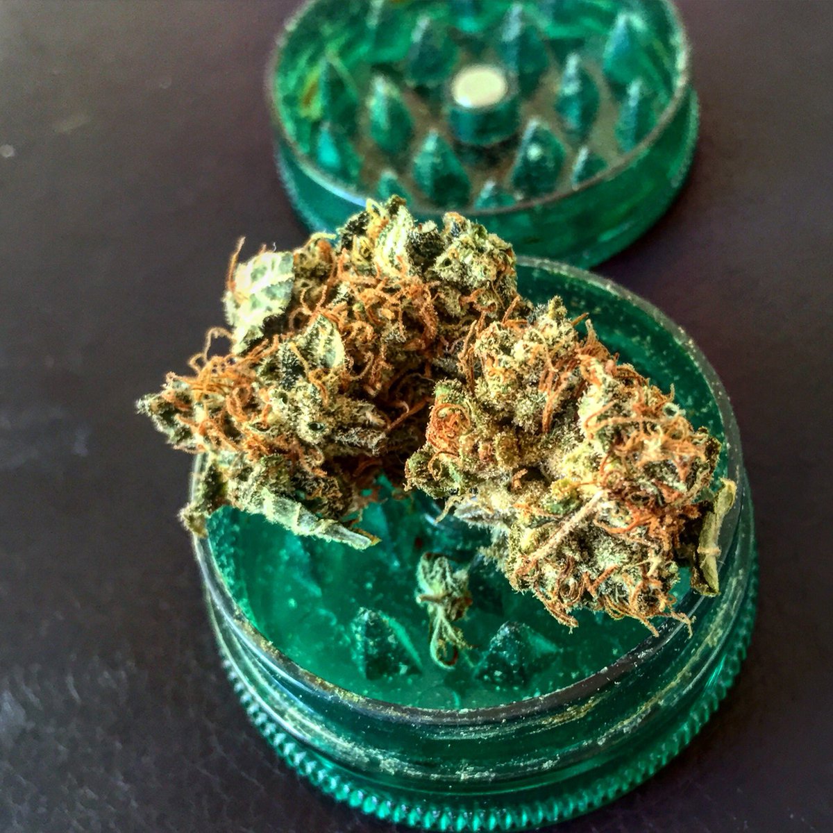 shaggystone420's tweet photo. Pedazo postre #WhiteLemon olor mermelada cΓtricaππ£π₯πππ #buenoshumos #cannabis #ElCannabisSeQueda #Debate13J https://t.co/uDMLKIKpBM