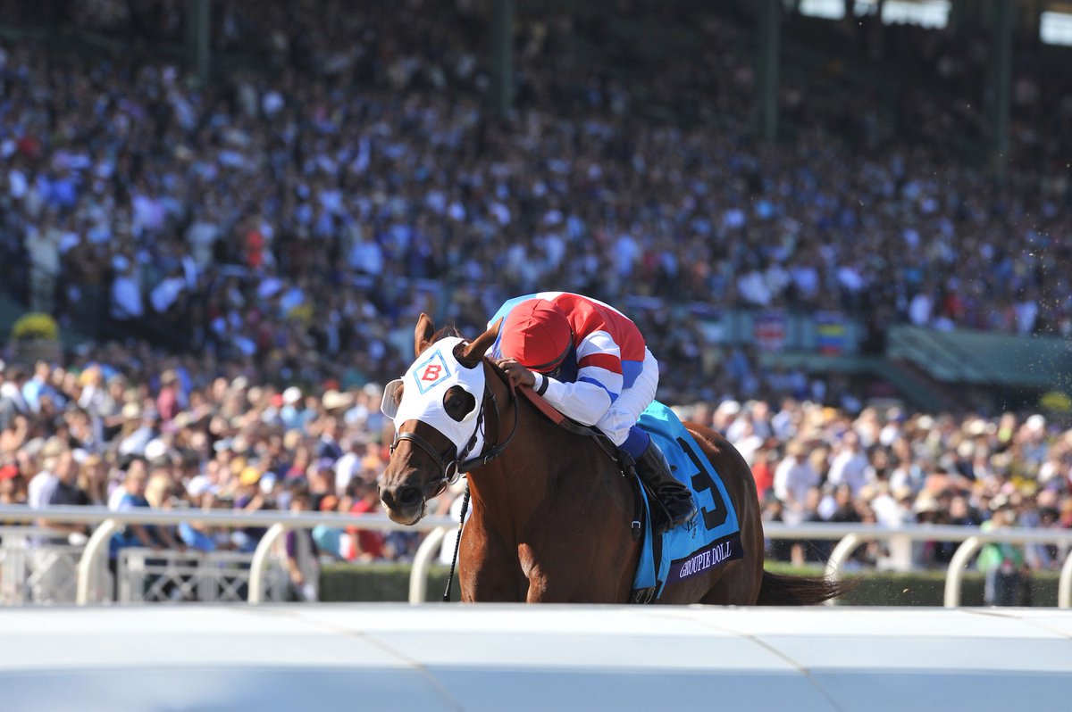 BreedersCup's tweet image. #MondayMotivation... Tickets to #BC16 @SantaAnitaPark: bit.ly/1UlYiCe
#BreedersCup #BCICANTWAIT