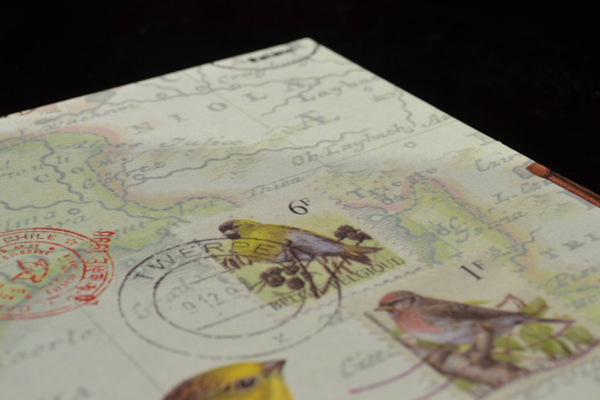 BBookbinding's tweet image. Rilegatura giapponese #japanese #binding #bird #amarillo #blue #bookbinding #brijitt #book #bird #origami #amarillo