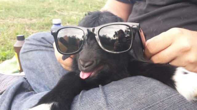 Holly_Gabrielle's tweet image. This is what I'm going to look like when exams are over