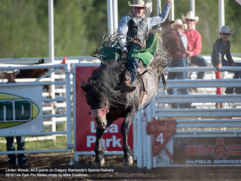 prorodeocanada's tweet photo. Weekend @prorodeocanada action saw BB rider Linden Woods capture his 1st pro rodeo win! https://t.co/bhFklhbRVs https://t.co/zab7Tgnb3S