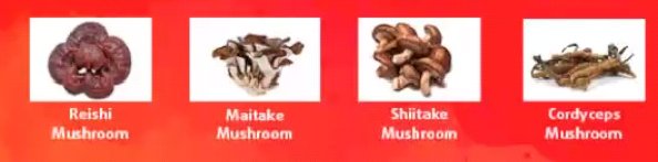 anngelfish's tweet photo. 4 of the 34 Superfoods ingredients MOA.
Fun guys too! https://t.co/5NpjJsngKN