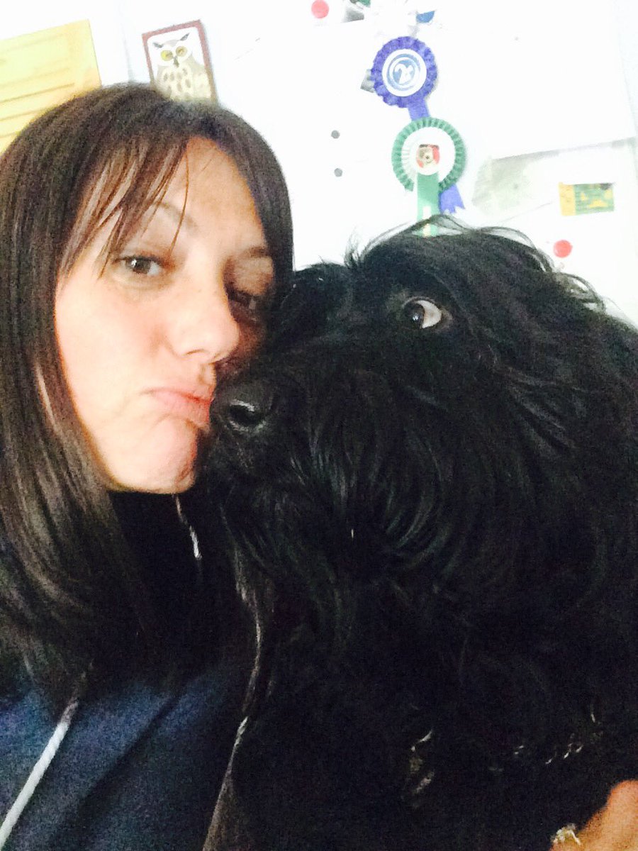 LabraMedic's tweet photo. @pippapoodle @Briardpup @Briardmums_pup @digbythedog i jus found this on my humums phone. #cheatingmum https://t.co/sNVVIW409o