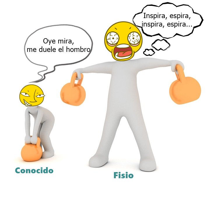 lafisioterapia.net tweet media