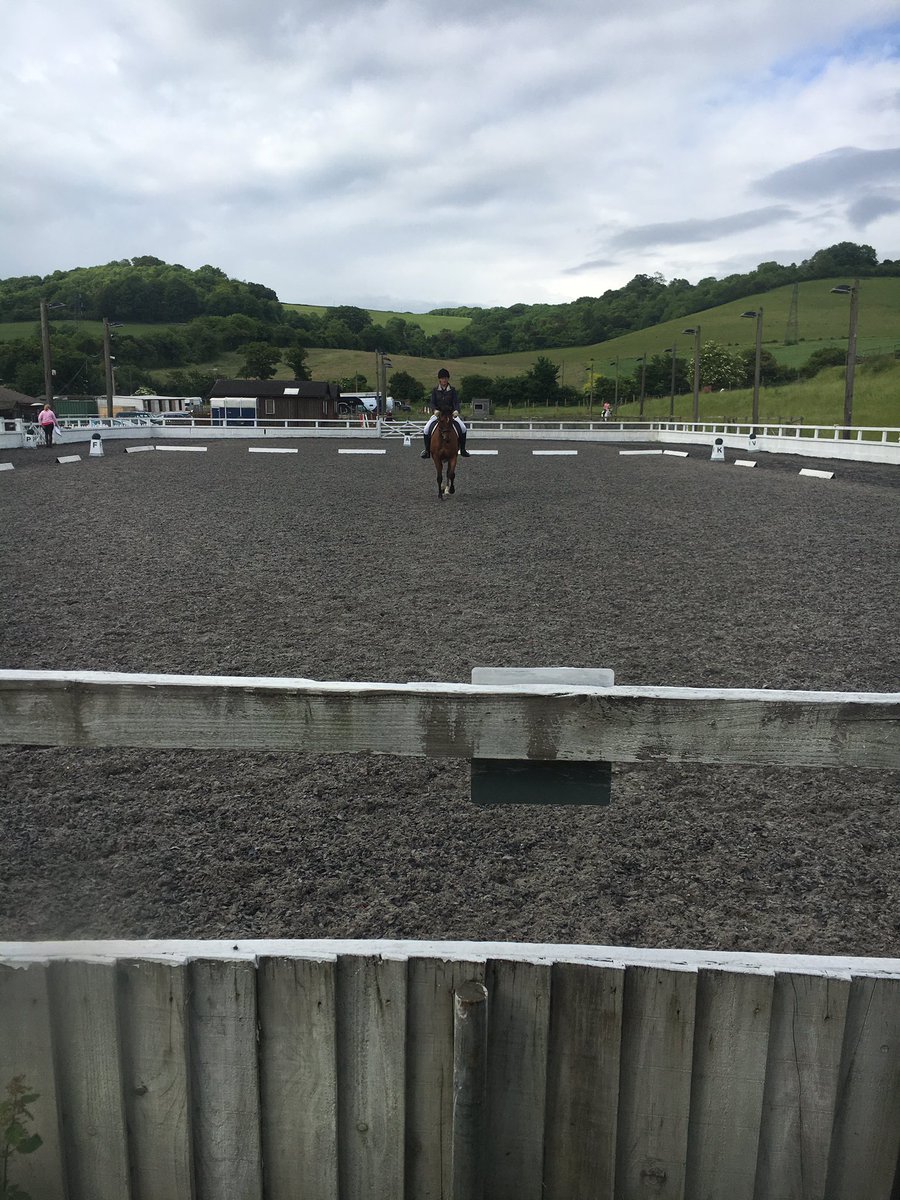 MoliShows's tweet photo. Straight centre line #equoshowtime https://t.co/bzdhToPnhj