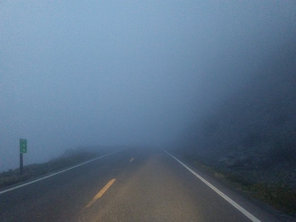 DaGr8Brendinni's tweet photo. @_Mary_Lucie @WeatherAndMore #DangerGirl πππͺ last night near Lk. #Tipsoo #Rainier #Fog rolled in https://t.co/9F3wH2b7Ty