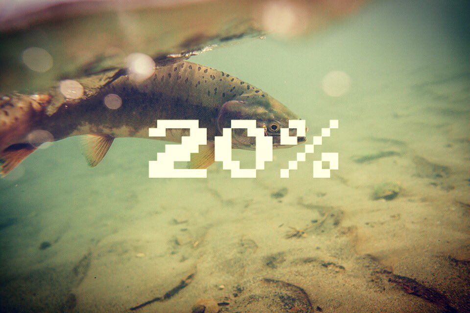 DID YOU KNOW... 20% of all sales goes towards conservation efforts! #flyfishing #conservation #fishing #pnw