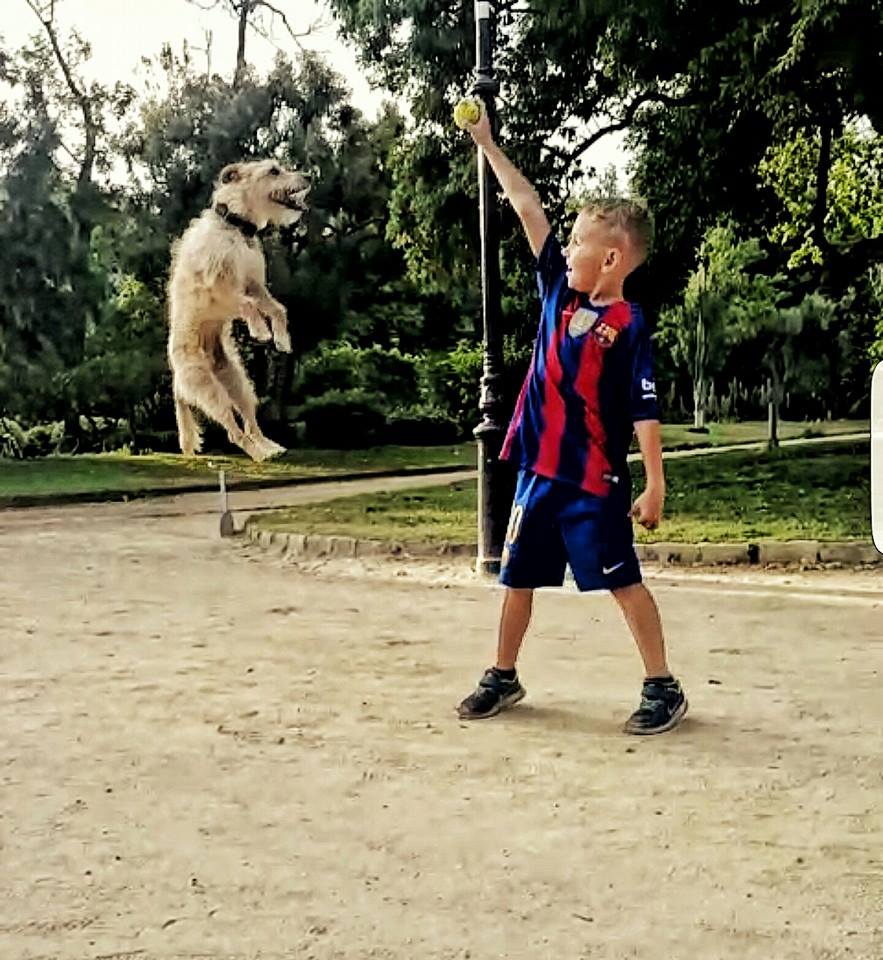 InfoAnyma2's tweet photo. Tarde de juegos!!! https://t.co/gwVVzluxPG