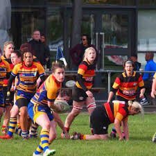 Kent Rugby tweet media