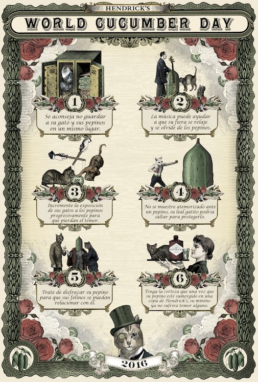 hendricksgincl's tweet photo. Prepare a su #gato para el #DíaDelPepino con estos consejos. #hendricksgin https://t.co/LWKf8wo0SX