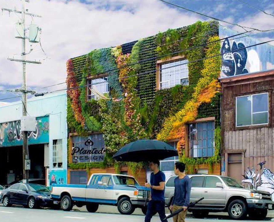 inhabitat's tweet photo. A2: Living walls and #GreenRoofs are a great #greenbuilding strategy: https://t.co/4roXVgcVFd #ModernMonday https://t.co/s4edP6l9nN