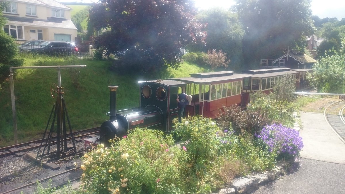 LauncestonSR's tweet photo. Dorothea brings today's last train past the station flowerbeds. 

Covertcoat tomorrow, possibly Lilian next week. https://t.co/3owXpSBVhU