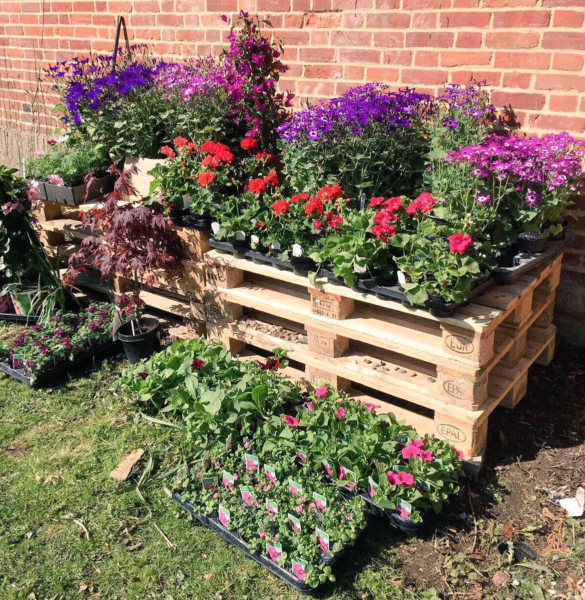 SquiresSeasonal's tweet photo. Bring your tubs into us & select the plants you want - we can plant them here for you! 🤗🤗 #gardening #gardenchat https://t.co/29cwi5ijiw
