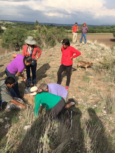 News San Miguel tweet media