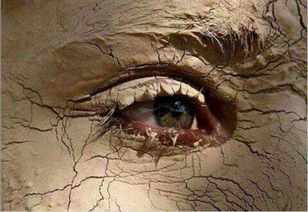 غرامك اثر بالعشك وداره..
هجرت الي تعب وياك وداره..
سمعت بقيس عاف اهله وداره
حملت الضيم وهمومك سويه