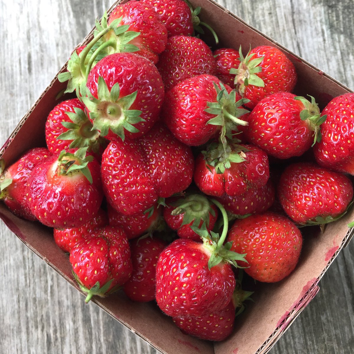 JesStir's tweet photo. Strawberry season!  #HamOnt #shoplocal #goodfoodmatters #delicious #freshfruit https://t.co/KHU4zPFjpZ
