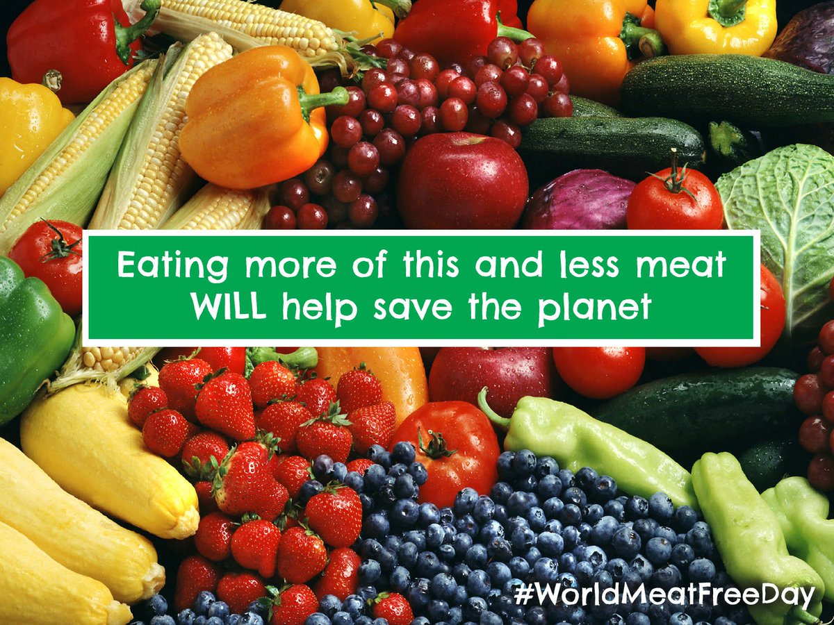 #Didyouknow going vegetarian can cut your carbon footprint in half? grnpc.org/IgNe6 #WorldMeatFreeDay