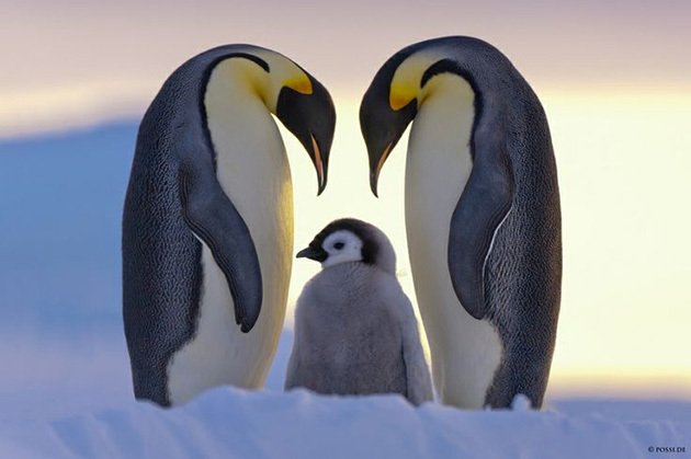 Earth Pics tweet media