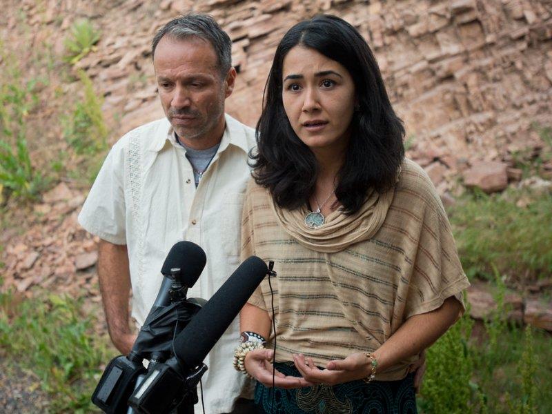 bergendispatch tweet media